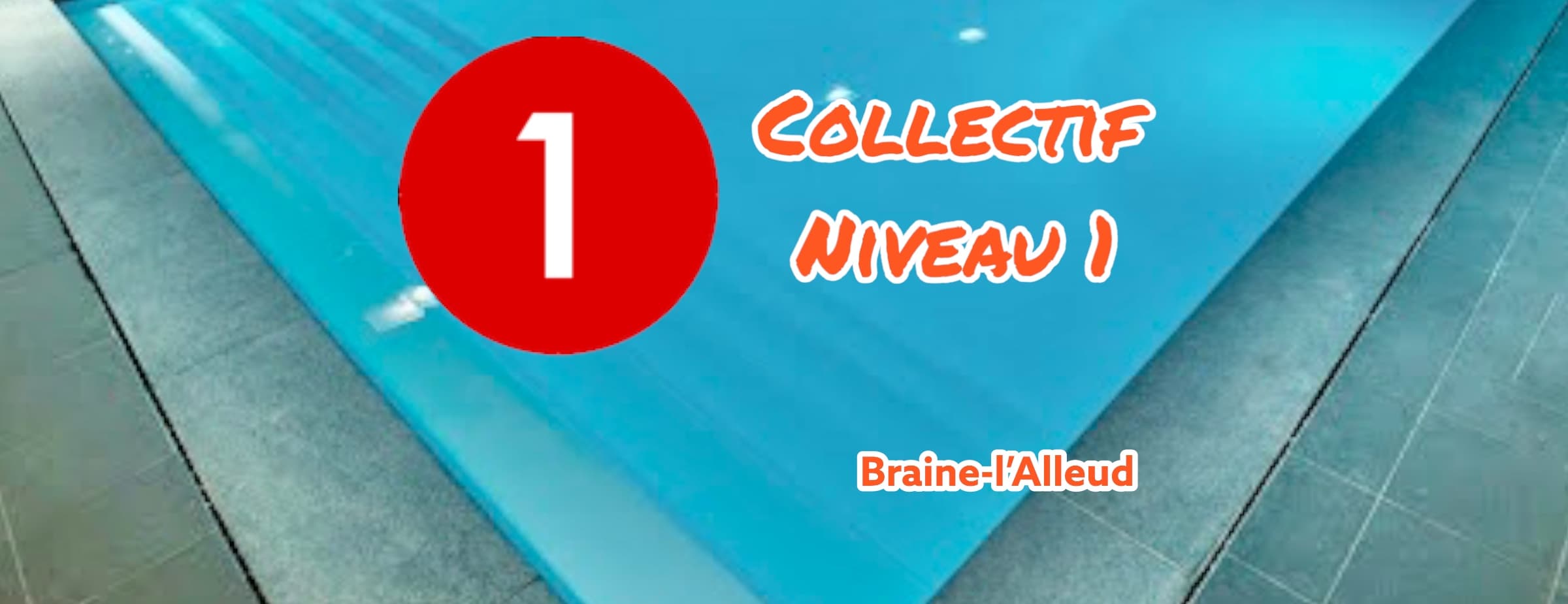 Collectif Natation Niveau 1- Accoutumance
